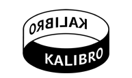 Dotazníkové šetření Kalibro  - „Škola a já“