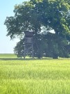 ._IMG_3567.jpg