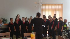Naši zpěváci v&nbsp;Domově pro seniory na Písečné